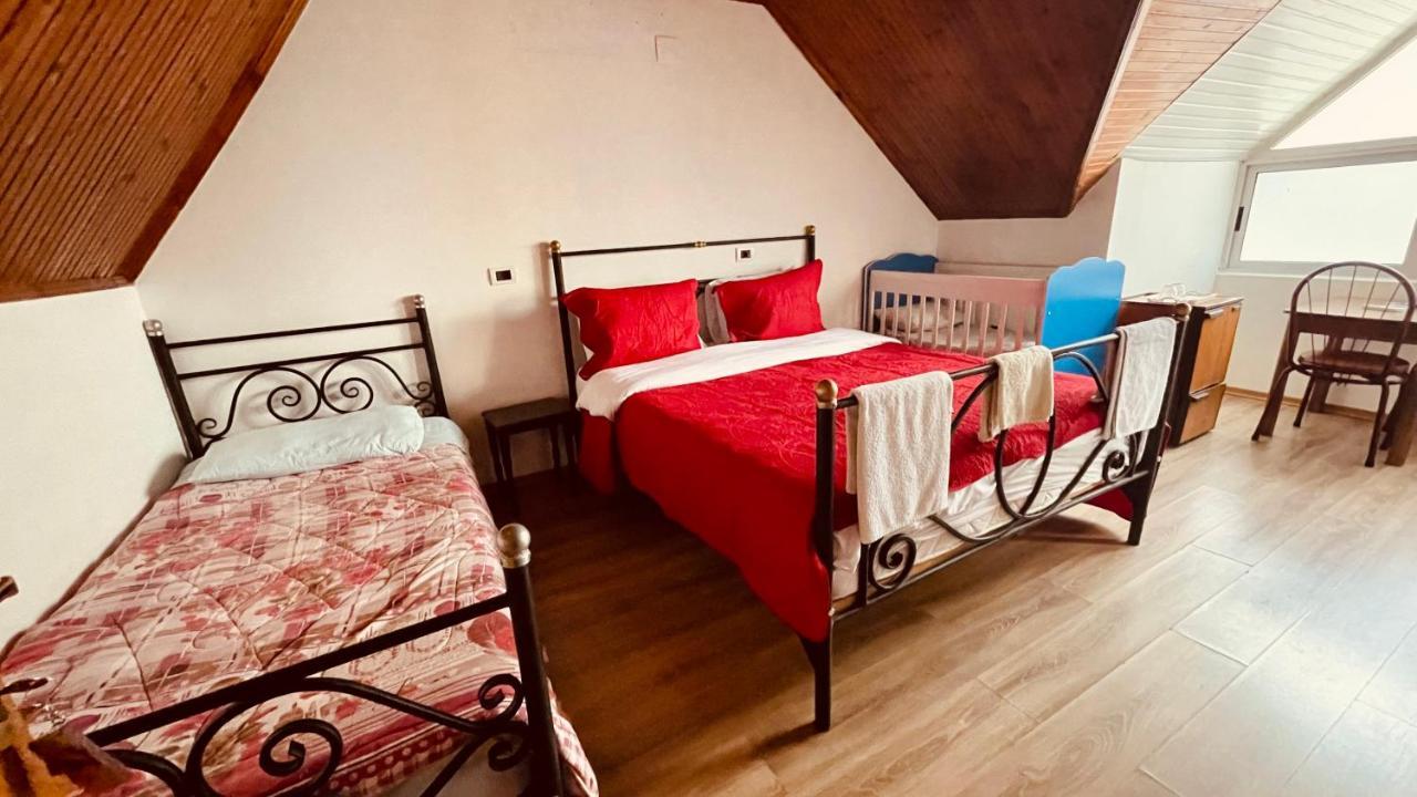 Hotel Drinos 티라나 외부 사진